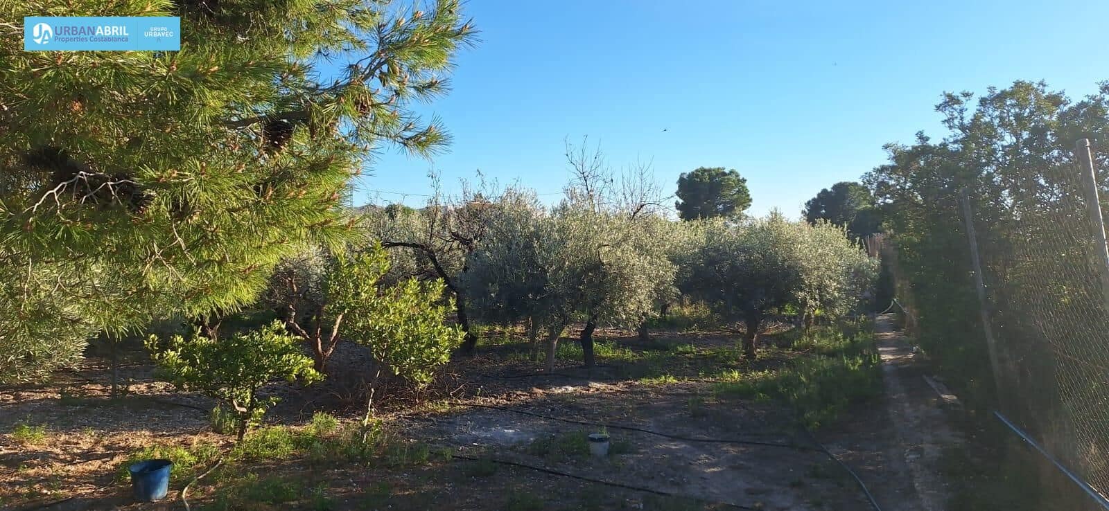 5 bedroom Finca/Country House for sale in Busot with garage - € 258,000 (Ref: 9844130)
