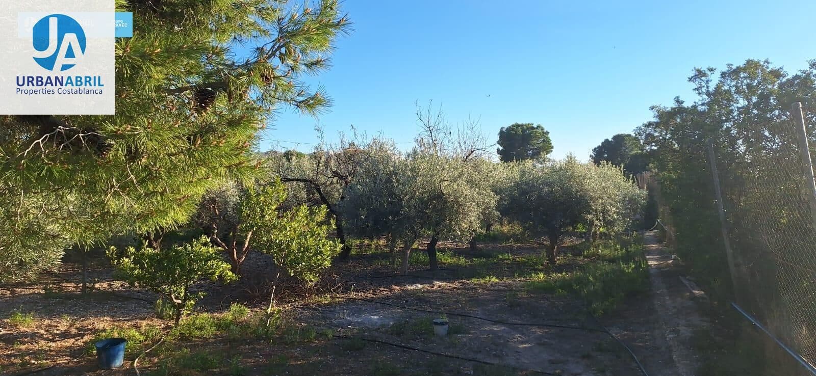 5 slaapkamer Finca/Landhuis te koop in Busot met garage - € 258.000 (Ref: 9844130)