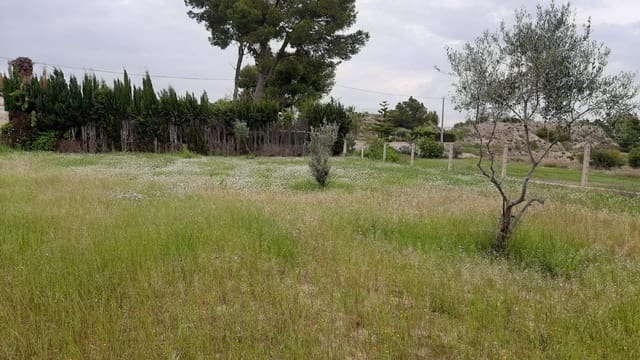 Byggegrund til salg i Rebolledo, Alicante by - € 59.000 (Ref: 9855501)