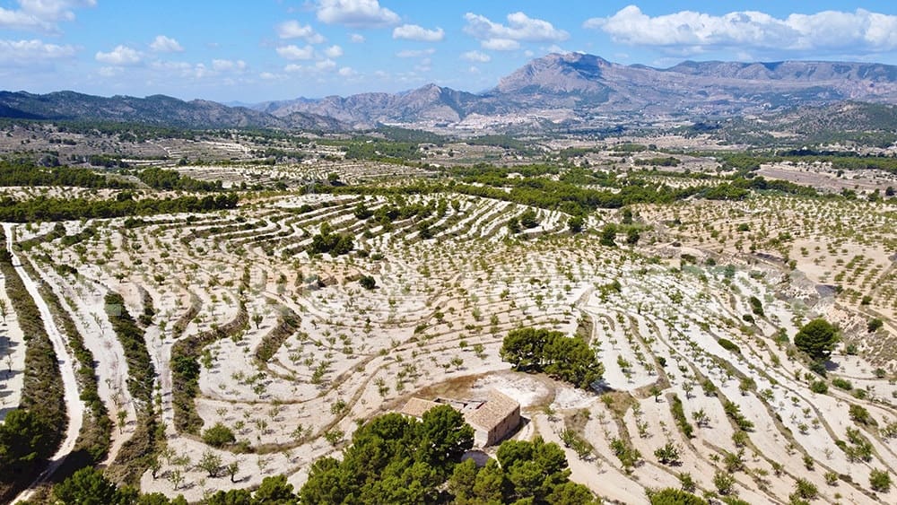 Finca/Landehus til salg i Jijona / Xixona - € 525.000 (Ref: 6266471)