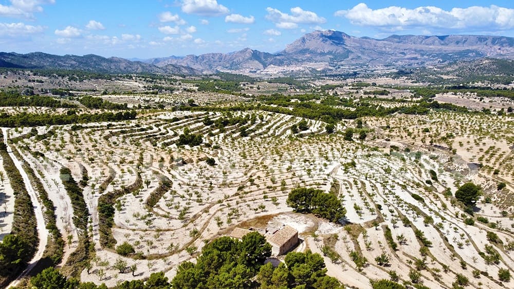 Finca/Landehus til salg i Jijona / Xixona - € 525.000 (Ref: 6266471)