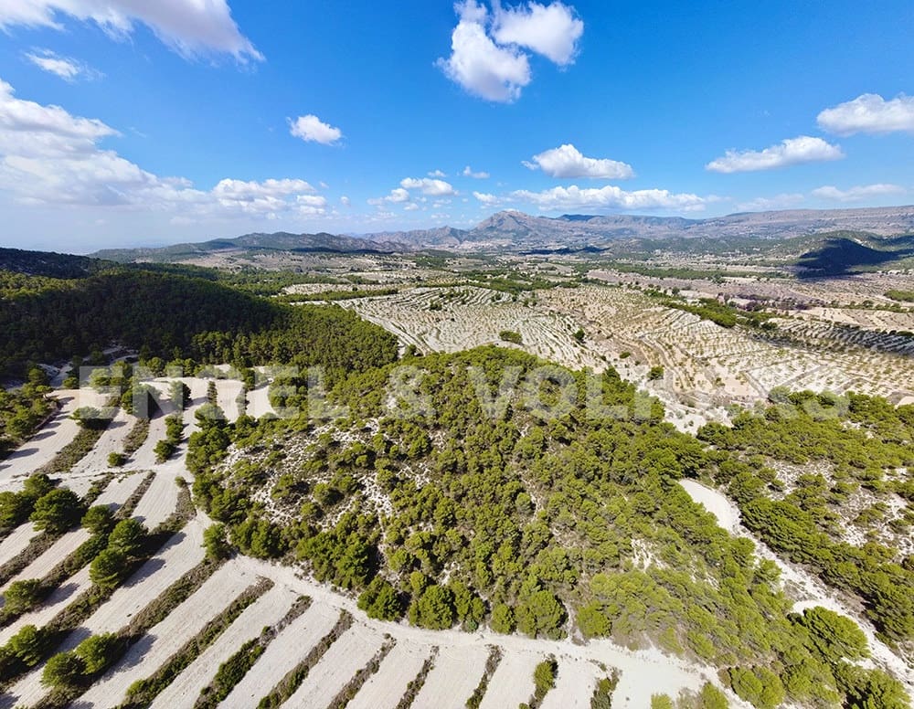 Finca/Landehus til salg i Jijona / Xixona - € 525.000 (Ref: 6266471)