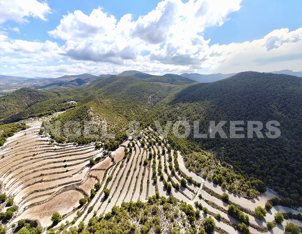 Finca/Landehus til salg i Jijona / Xixona - € 525.000 (Ref: 6266471)