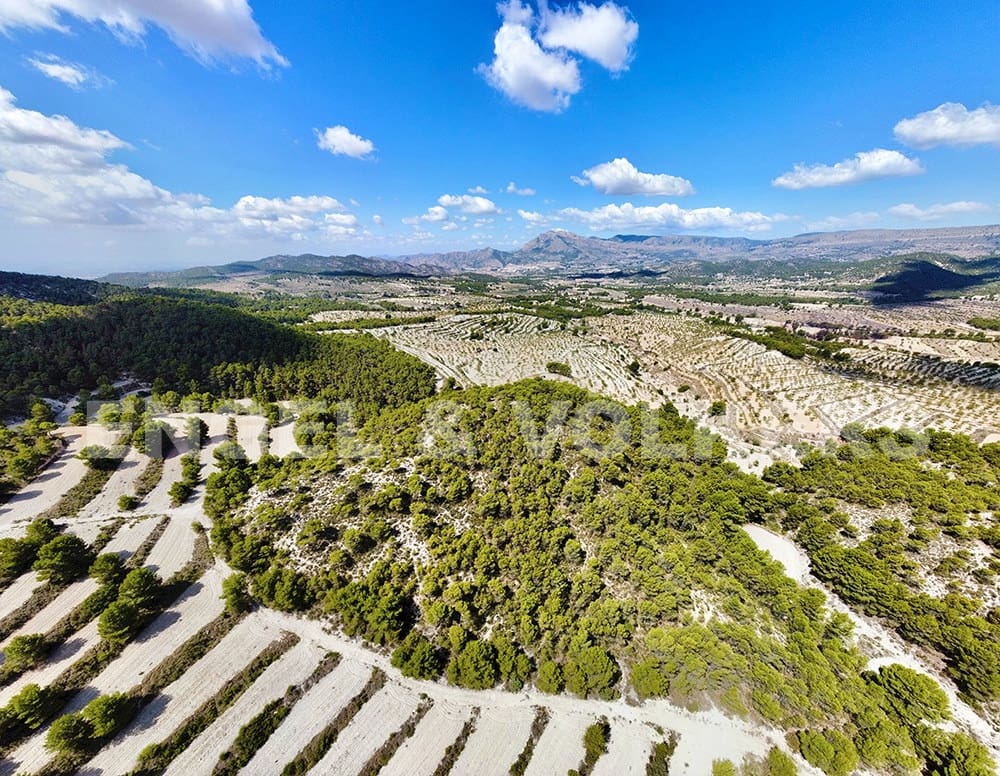 Finca/Landehus til salg i Jijona / Xixona - € 525.000 (Ref: 6266471)