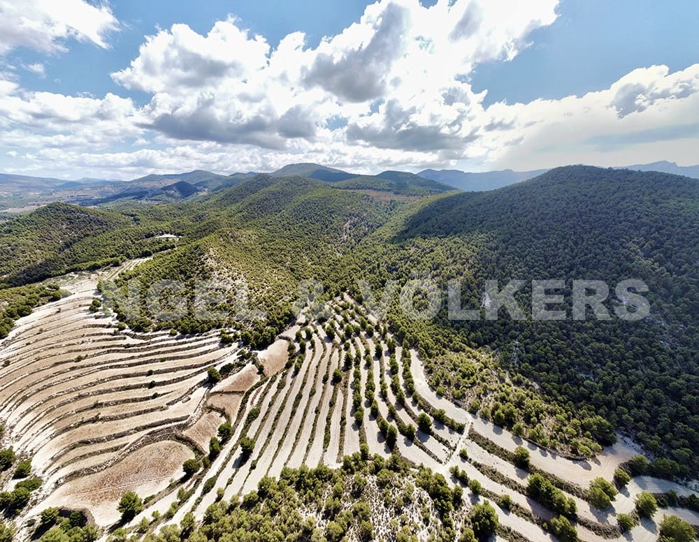 Finca/Landehus til salg i Jijona / Xixona - € 525.000 (Ref: 6266471)