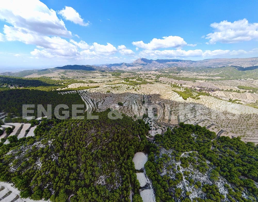 Finca/Landehus til salg i Jijona / Xixona - € 525.000 (Ref: 6266471)