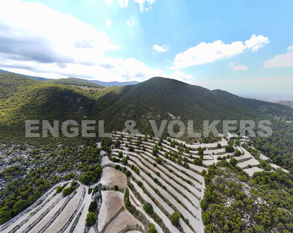 Finca/Landehus til salg i Jijona / Xixona - € 525.000 (Ref: 6266471)