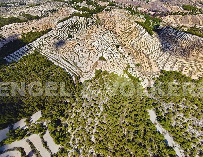 Finca/Landehus til salg i Jijona / Xixona - € 525.000 (Ref: 6266471)