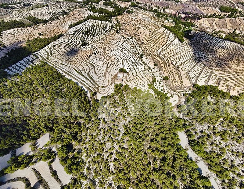 Finca/Landehus til salg i Jijona / Xixona - € 525.000 (Ref: 6266471)