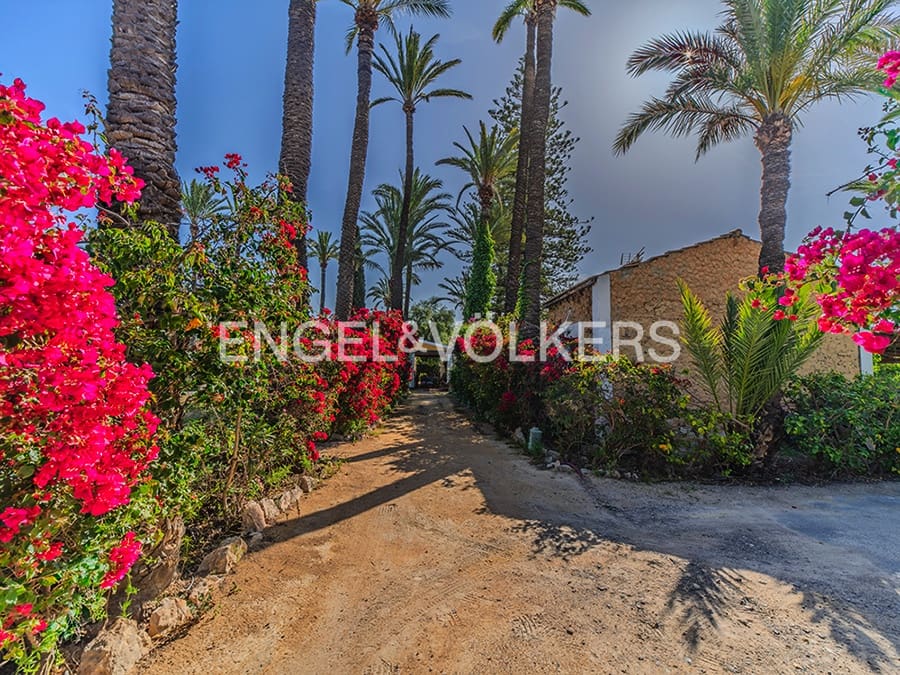 9 quarto Quinta/Casa Rural para venda em Elche / Elx com piscina garagem - 1 150 000 € (Ref: 9799921)