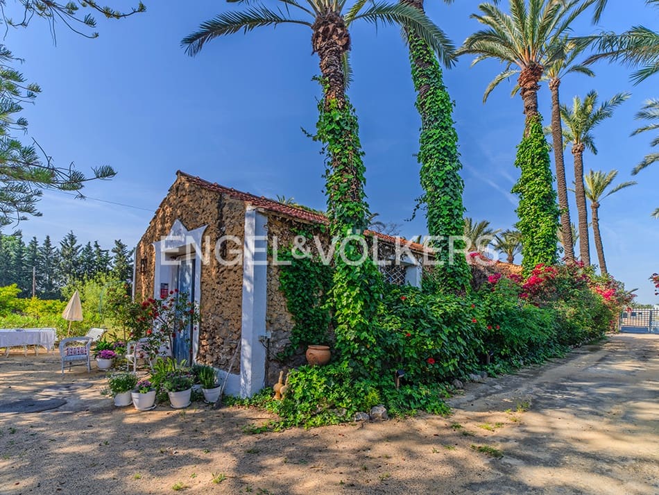 9 quarto Quinta/Casa Rural para venda em Elche / Elx com piscina garagem - 1 150 000 € (Ref: 9799921)