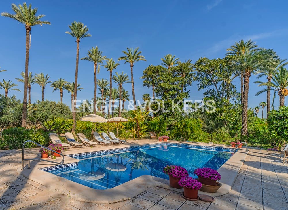 9 quarto Quinta/Casa Rural para venda em Elche / Elx com piscina garagem - 1 150 000 € (Ref: 9799921)