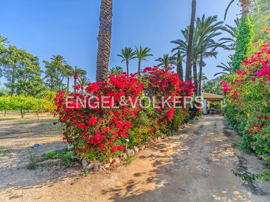 9 quarto Quinta/Casa Rural para venda em Elche / Elx com piscina garagem - 1 150 000 € (Ref: 9799921)