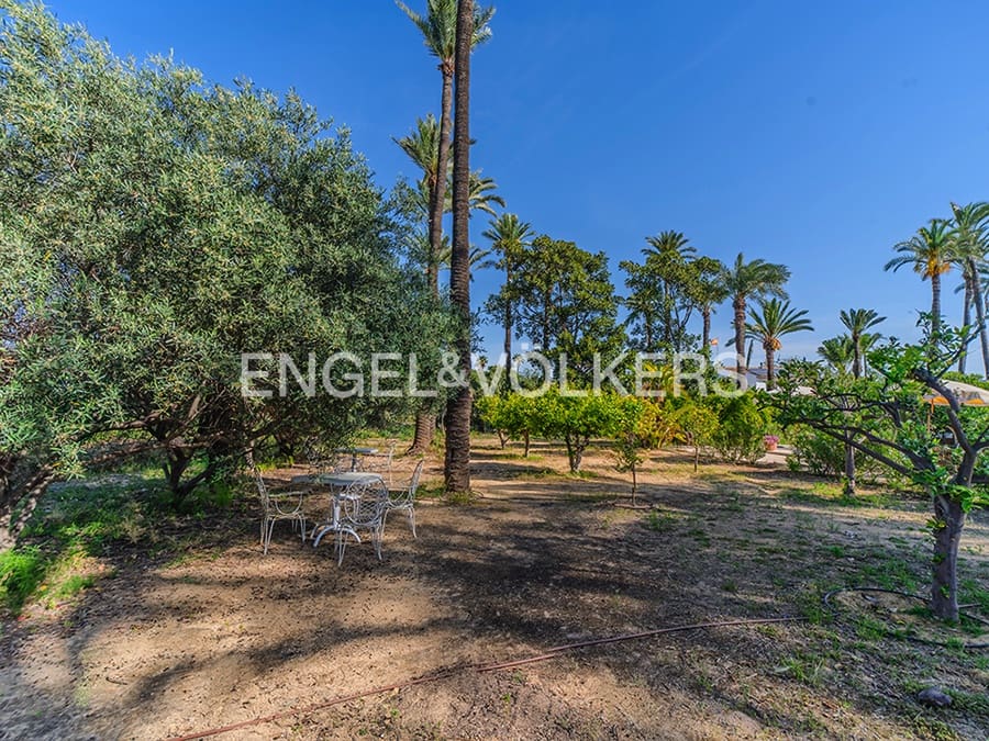 9 quarto Quinta/Casa Rural para venda em Elche / Elx com piscina garagem - 1 150 000 € (Ref: 9799921)