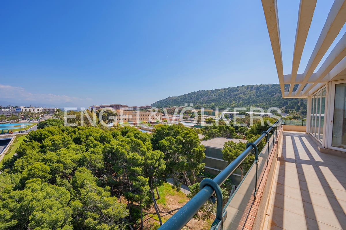 Penthouse til salgs i Alicante by - € 460 000 (Ref: 9983261)