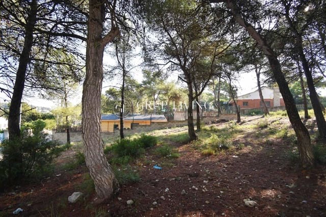 Bauplatz zu verkaufen in Canyelles - 65.000 € (Ref: 10089593)