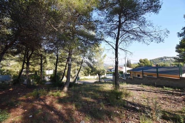 Bauplatz zu verkaufen in Canyelles - 65.000 € (Ref: 10089593)