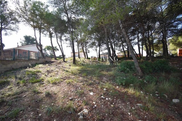Bauplatz zu verkaufen in Canyelles - 65.000 € (Ref: 10089593)