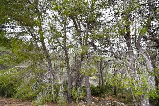 Building Plot for sale in Sant Pere de Ribes - € 38,000 (Ref: 7968850)