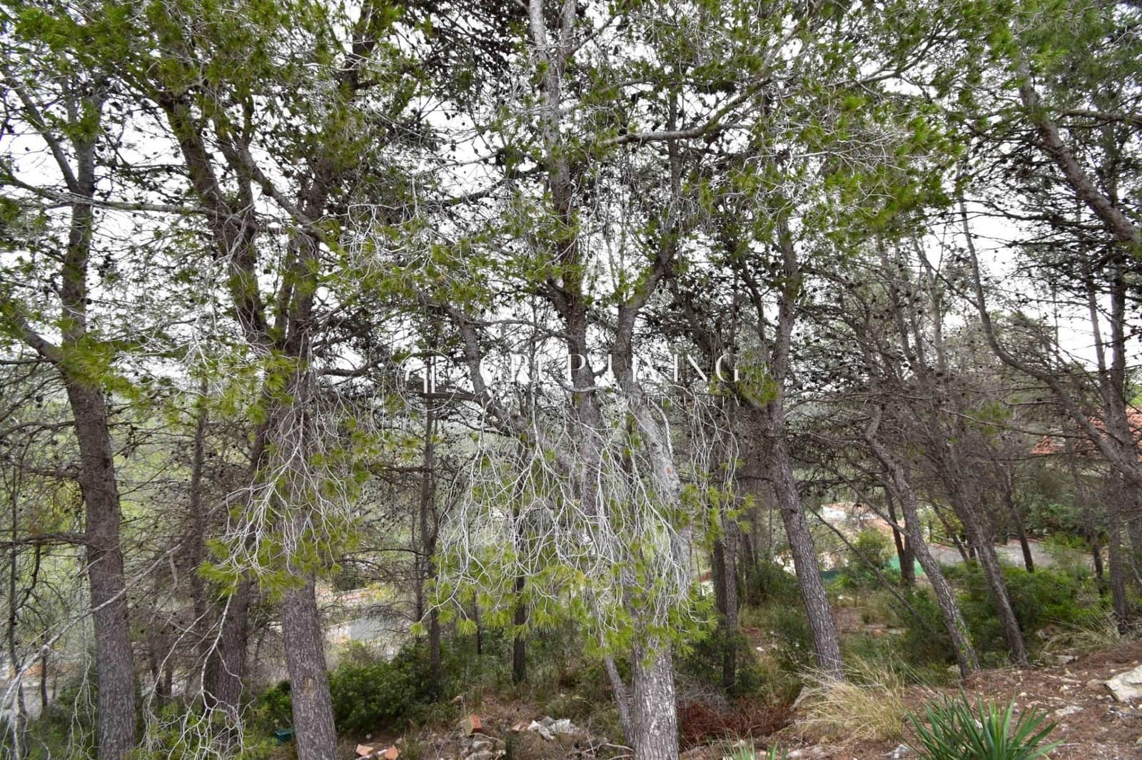 Działka budowlana na sprzedaż w Sant Pere de Ribes - 38 000 € (Ref: 7968851)