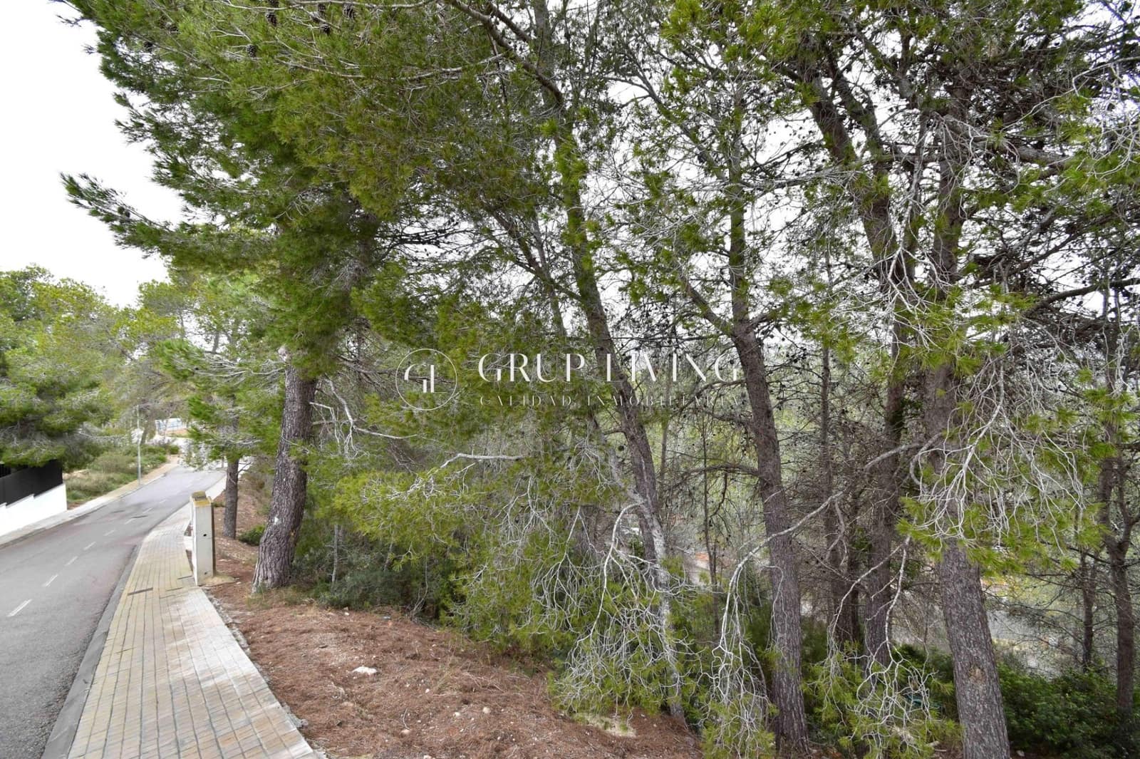 Działka budowlana na sprzedaż w Sant Pere de Ribes - 38 000 € (Ref: 7968851)