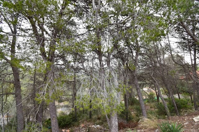 Area Edificabile in vendita in Sant Pere de Ribes - 38.000 € (Rif: 7968851)