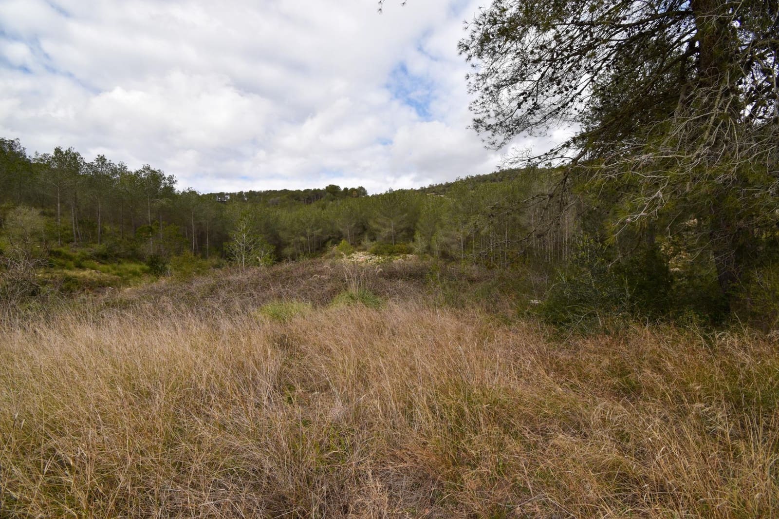 Byggetomt til salgs i Olivella - € 90 000 (Ref: 8897002)