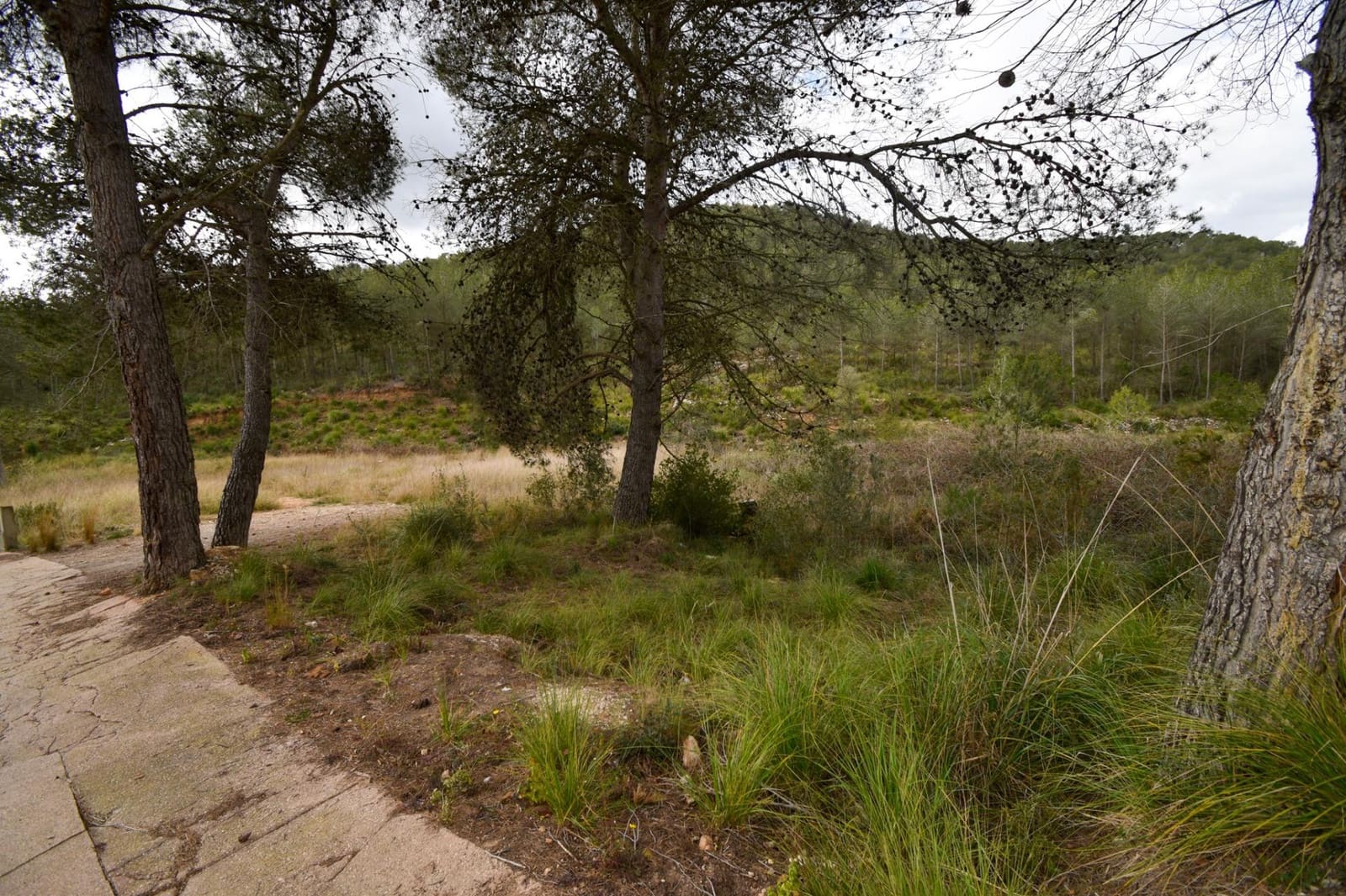 Byggetomt til salgs i Olivella - € 90 000 (Ref: 8897002)