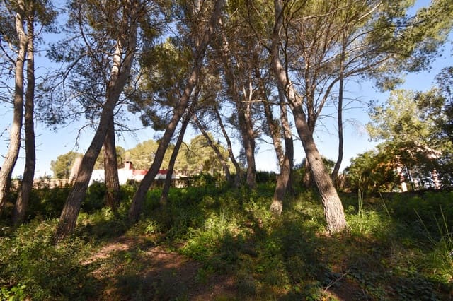 Terreno para Construção para venda em Olivella - 47 260 € (Ref: 8911367)