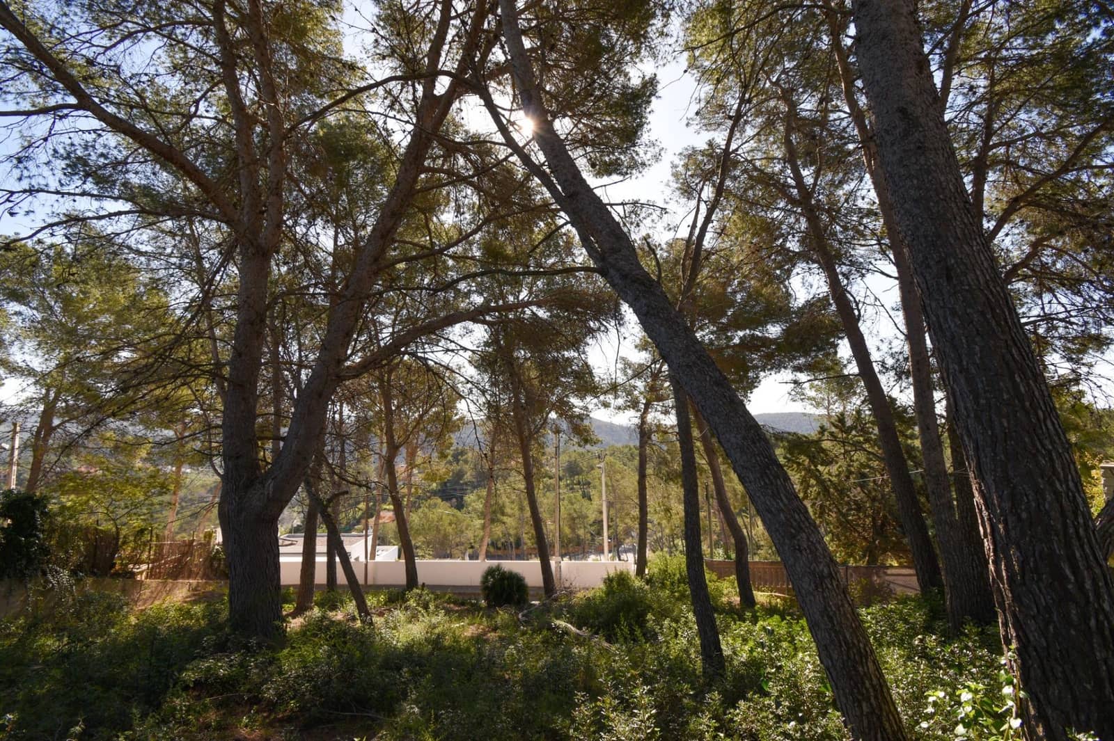 Tomt till salu i Olivella - 47 260 € (Ref: 8911367)