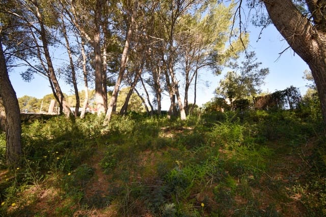 Terreno para Construção para venda em Olivella - 47 260 € (Ref: 8911367)