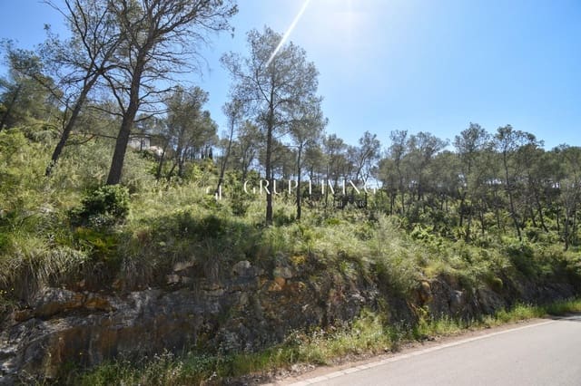 Building Plot for sale in Olivella - € 55,000 (Ref: 8979279)