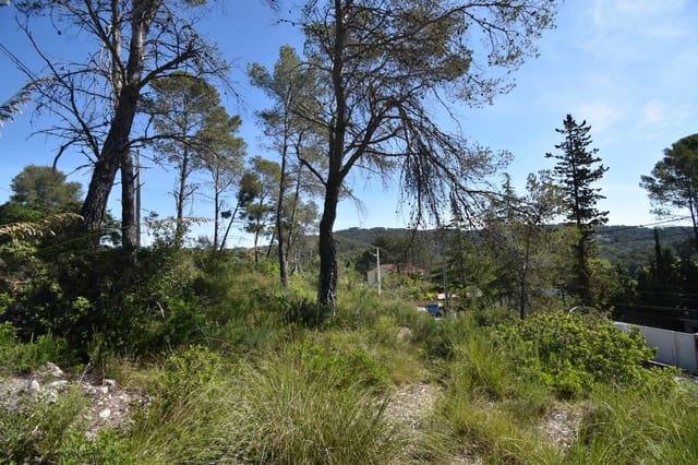 Building Plot for sale in Olivella - € 120,000 (Ref: 9003198)