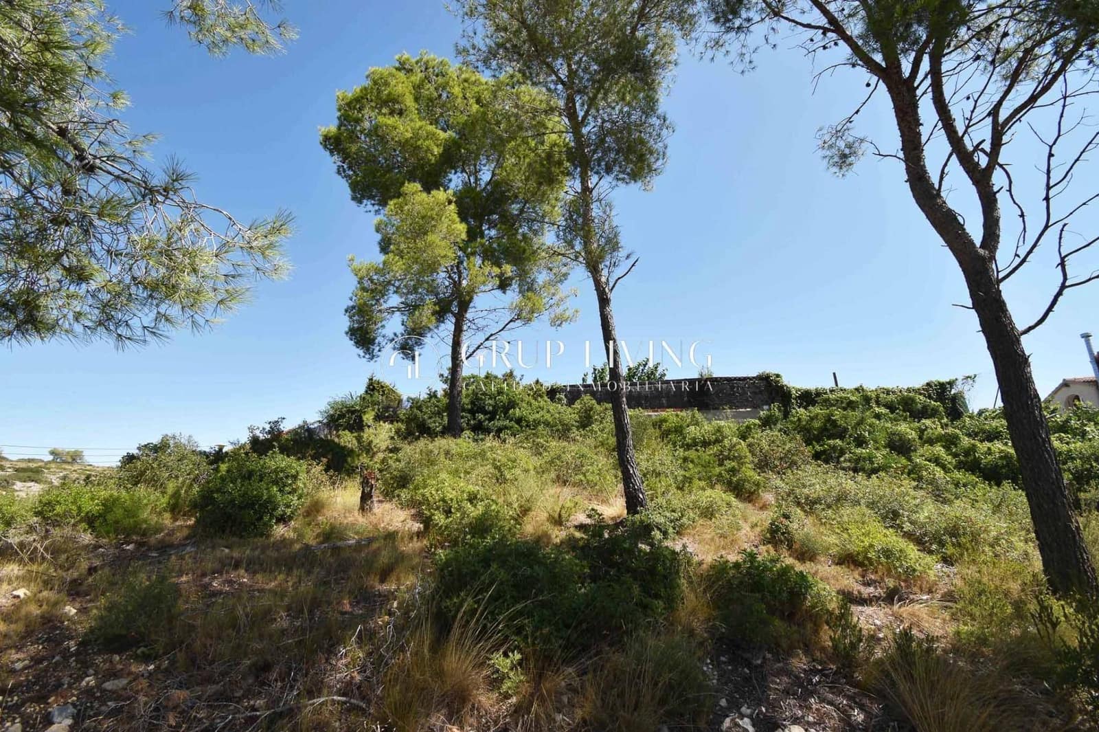 Building Plot for sale in Olivella - € 60,000 (Ref: 9204686)