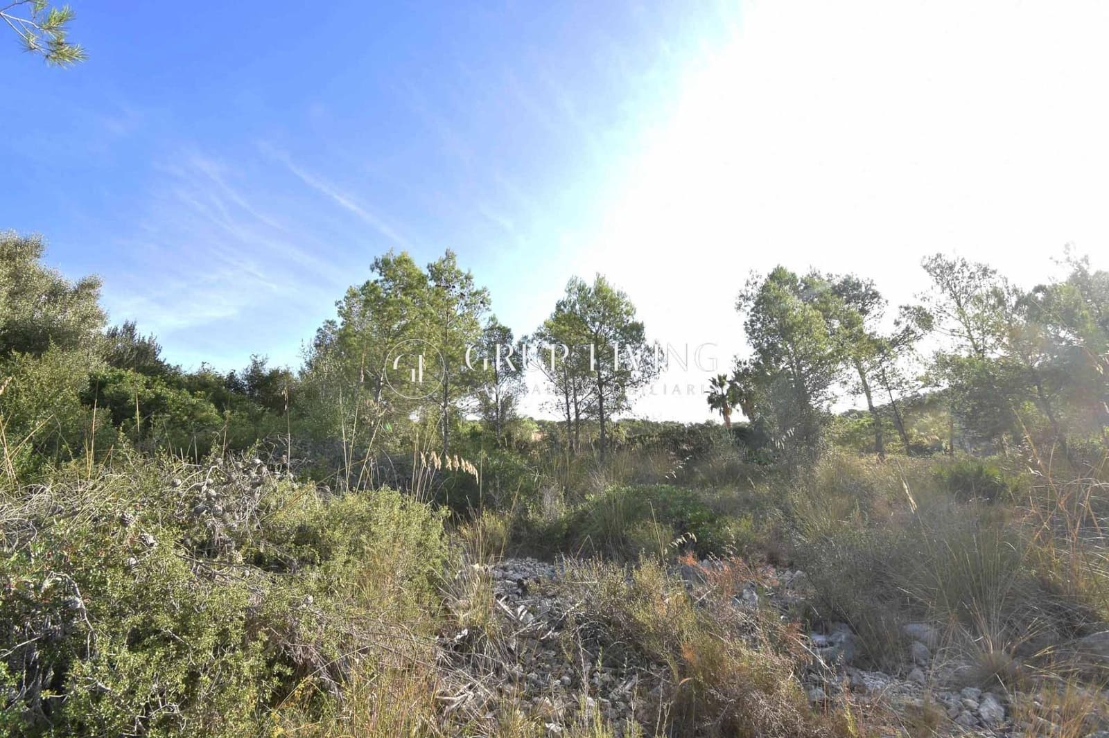 Building Plot for sale in Olivella - € 130,000 (Ref: 9294438)