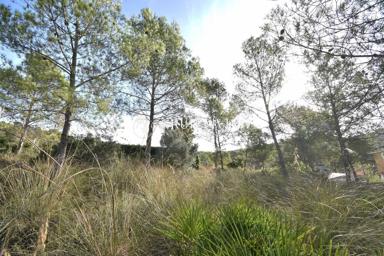 Building Plot for sale in Olivella - € 130,000 (Ref: 9294438)