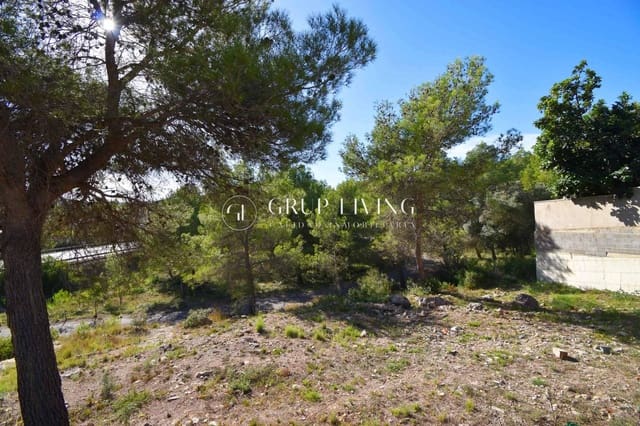 Tontti myytävänä paikassa Canyelles - 132 260 € (Ref: 9347438)