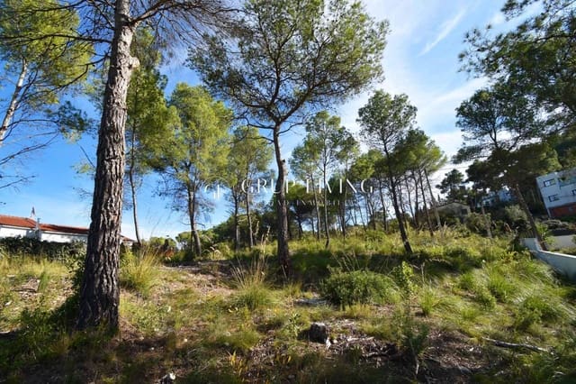 Building Plot for sale in Olivella - € 100,000 (Ref: 9385719)