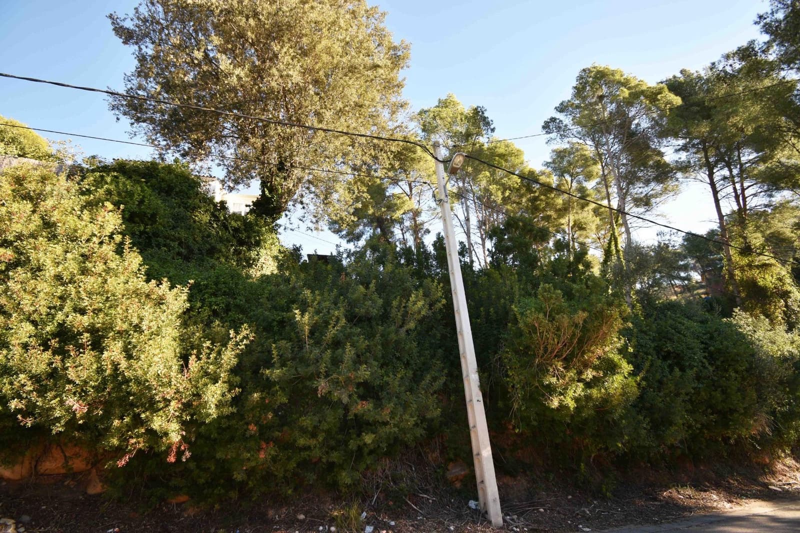 Building Plot for sale in Olivella - € 67,000 (Ref: 9417682)