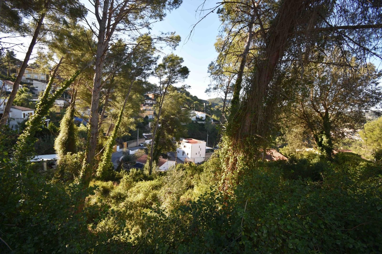 Building Plot for sale in Olivella - € 67,000 (Ref: 9417682)