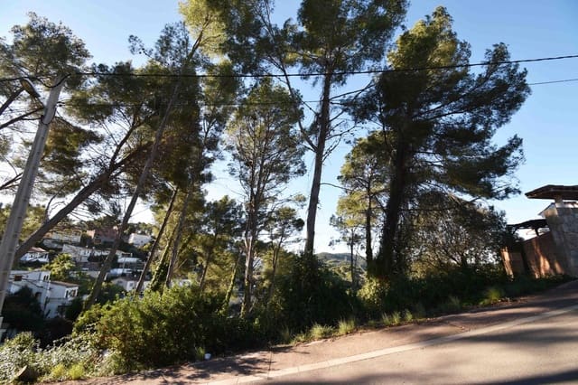 Building Plot for sale in Olivella - € 67,000 (Ref: 9417682)