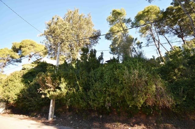 Building Plot for sale in Olivella - € 67,000 (Ref: 9417682)