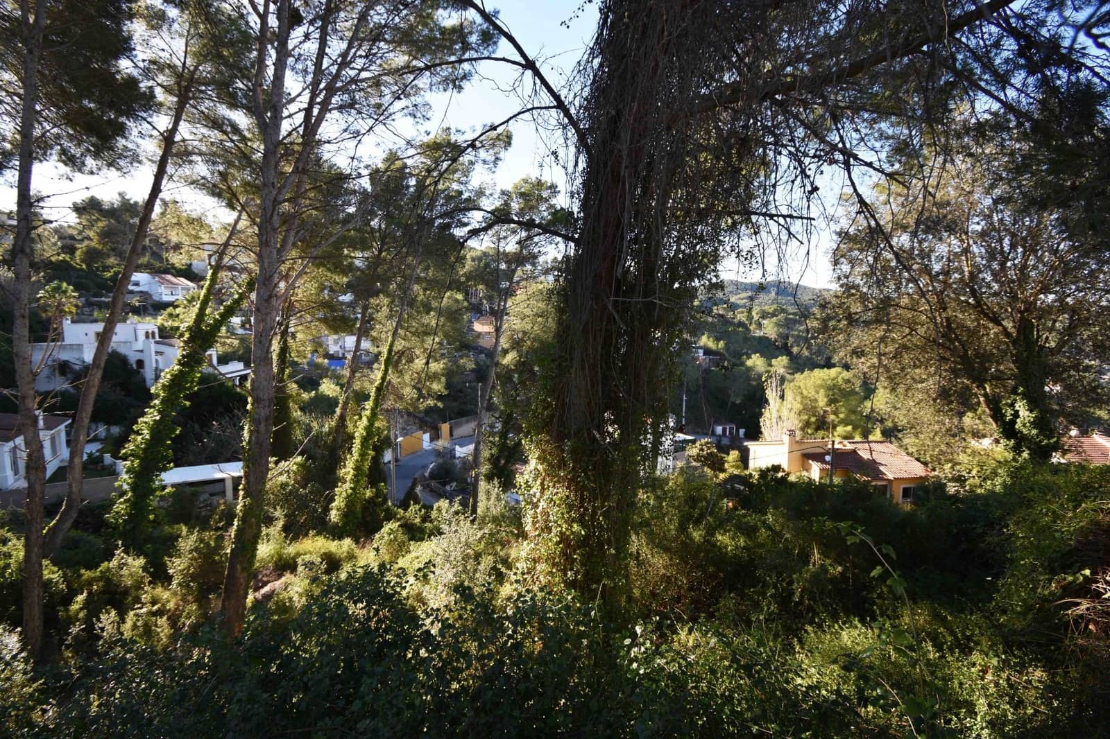 Building Plot for sale in Olivella - € 67,000 (Ref: 9417682)