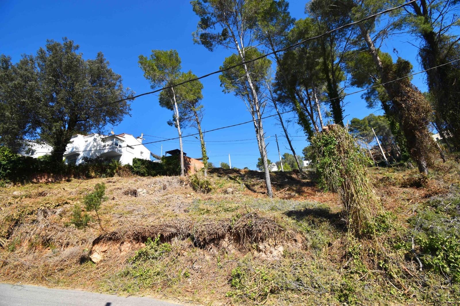 Building Plot for sale in Olivella - € 67,000 (Ref: 9417682)