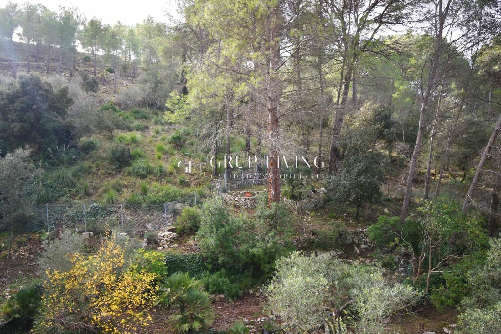 Terrain à Bâtir à vendre à Olivella - 75 000 € (Ref: 9470513)