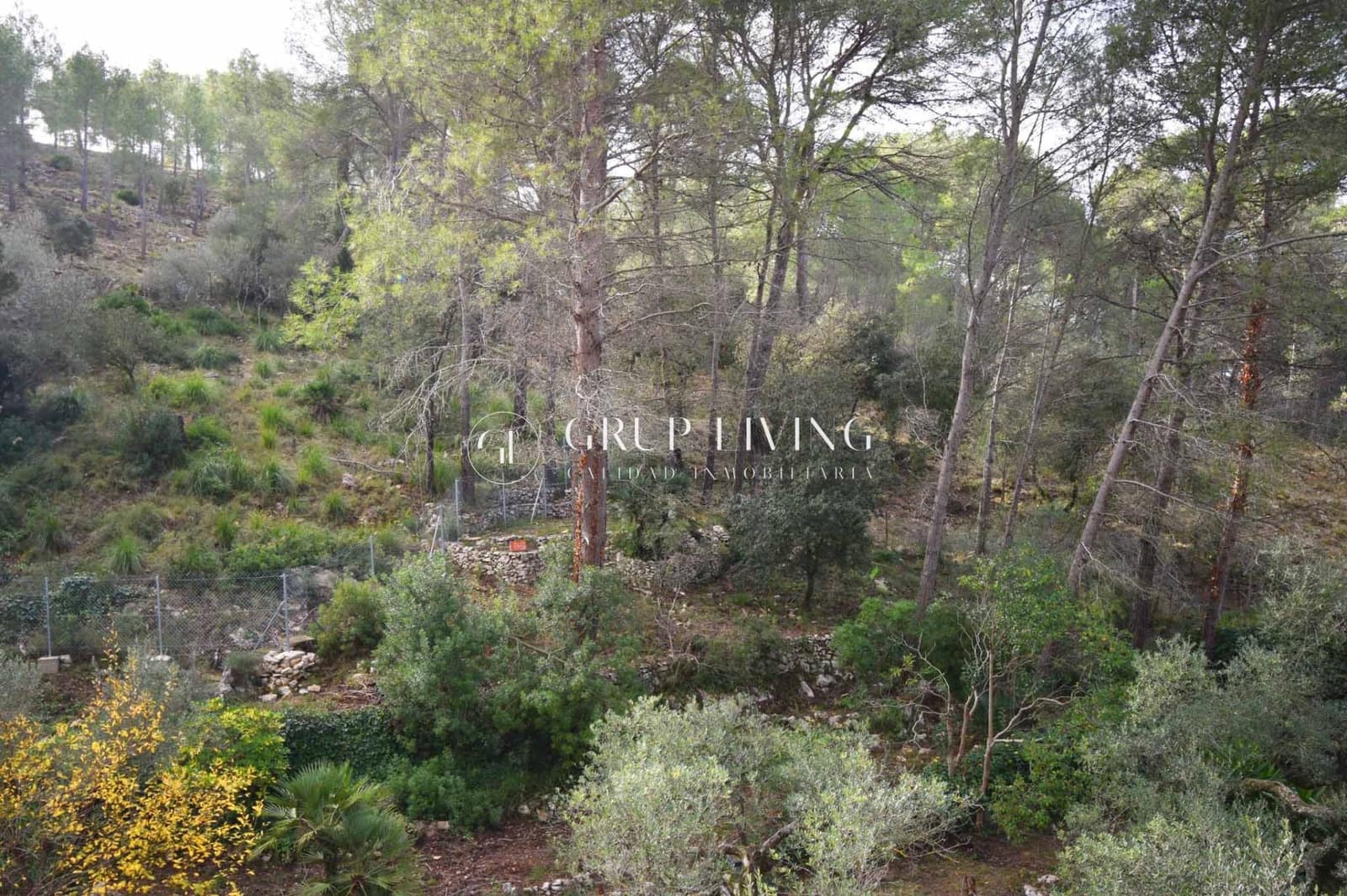 Terrain à Bâtir à vendre à Olivella - 75 000 € (Ref: 9470513)