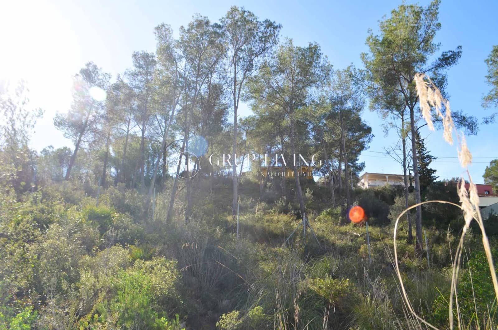 Terreno para Construção para venda em Olivella - 132 000 € (Ref: 9568790)