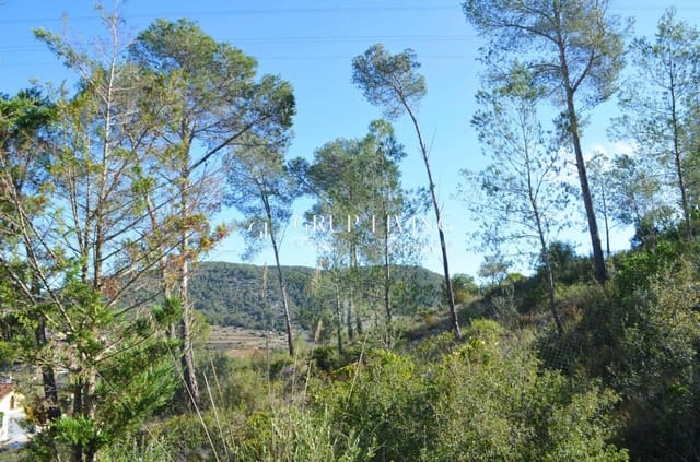 Terreno para Construção para venda em Olivella - 132 000 € (Ref: 9568790)