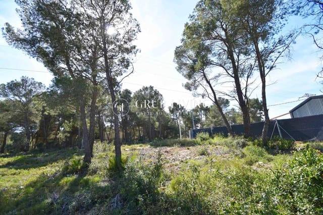 Działka budowlana na sprzedaż w Canyelles - 55 000 € (Ref: 9712078)