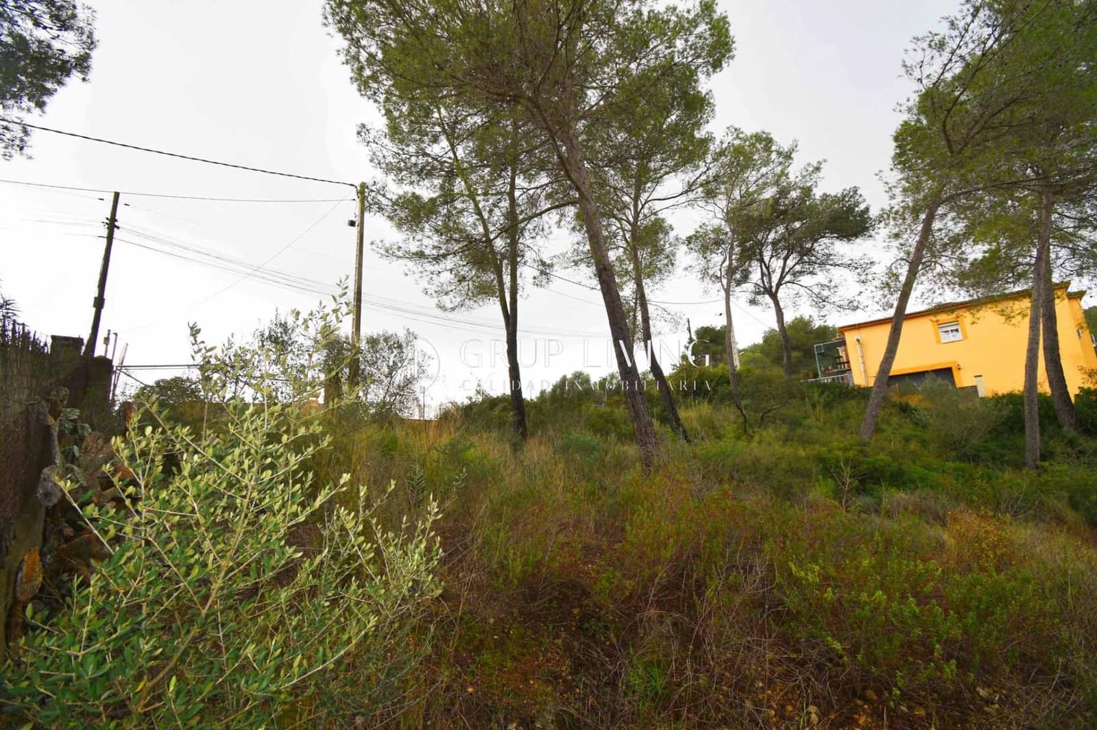 Byggetomt til salgs i Olivella - € 60 000 (Ref: 9759070)